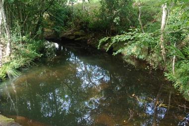 Sítio Chácara em Rolante - Alto Rolante