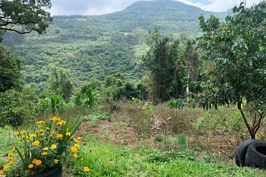 Chácara no KM 45 em Riozinho, RS.