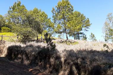 Terrenos Rolantinho - Rolante/RS