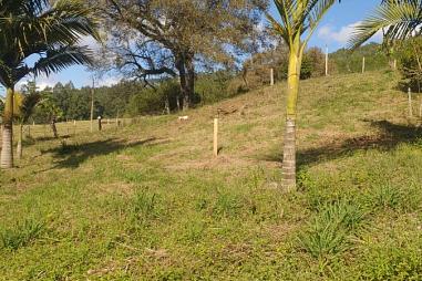 Terreno em Rolante - Bairro Areia