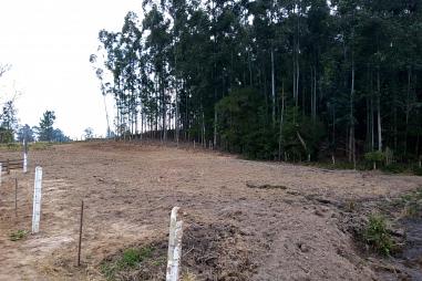 Terreno rural - Campinas - Rolante/RS