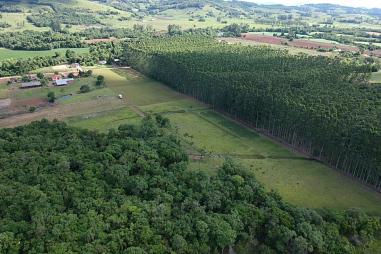 13 hectares na RS 239 - entrada de Rolante/RS