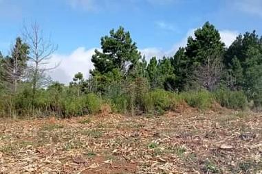 Sítio no morro grande - Rolante