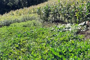 Sítio em Riozinho/RS