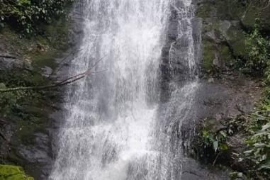Sítio  - Morro Grande - Rolante/RS