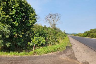 Sítio em Rolante - RS 474