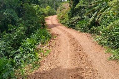 Sítio em Rolante - Morro Grande - Próximo a Boa Esperança