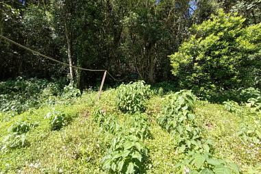 Sítio em Rolante - Boa Esperança