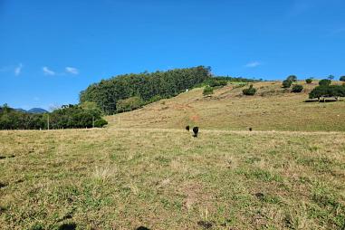 Área de Terras em Rolante - Rolantinho
