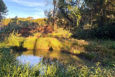 Sítio à venda em Rolante