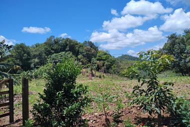 Sítio em Rolante - Morro da Figueira