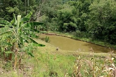 Sítio em Rolante - Campinas