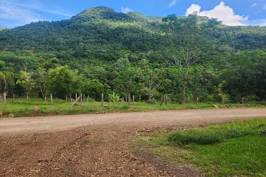 Sítio à venda em Rolante-  Boa Esperança