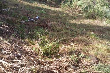 Vende-se chácara no Morro Grande em Rolante/RS