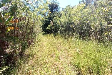 Vende-se sítio na Glória em Rolante/RS