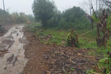 Vende-se sítio na cidade de Riozinho/RS