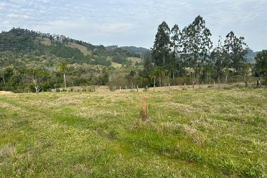Área Rural de 3,5 hectares nas Campinas em Rolante/RS