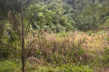 Vende-se terreno no loteamento Esquinatti no Centro em Rolante/RS