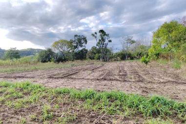 Vende-se terreno em Campinas em Rolante/RS