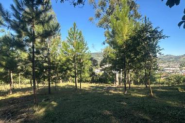 Chácara à venda, 41268m² - Centro - Rolante