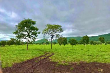 FAZENDA 1334 HECTARES - CACERES