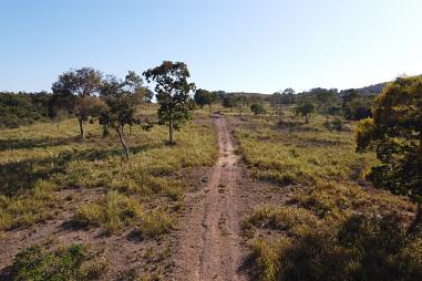FAZENDA 158 HECTARES - ROSARIO OESTE