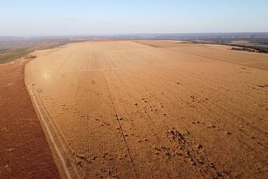 FAZENDA 7400 HECTARES - NOBRES
