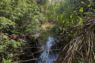 FAZENDA 780 HECTARES - NOSSA SENHORA DO LIVRAMENTO