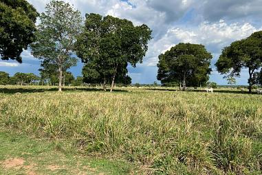 FAZENDA 2148 HECTARES - CÁCERES