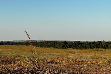 Fazenda à Venda em Planalto da Serra-MT - 1100 hectares