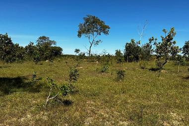 Fazenda de 900 Hectares à Venda em Nova  Brasilândia