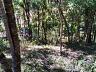 Terreno em Loteamento em Centro, Campo Alegre/SC 8