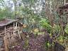 Terreno em Loteamento em Centro, Campo Alegre/SC 15