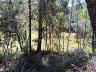 Terreno em Loteamento em Centro, Campo Alegre/SC 3