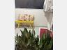 Apartamento em Centro, Joinville/SC 7