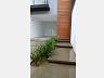 Casa Geminada Triplex em Santa Catarina, Joinville/SC 8