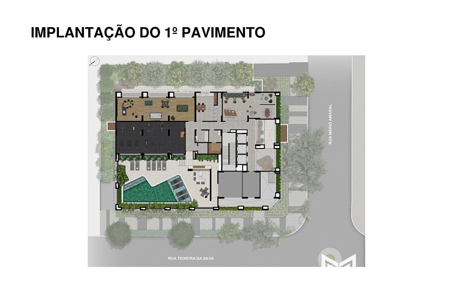 Arvo Teixeira da Silva 20
