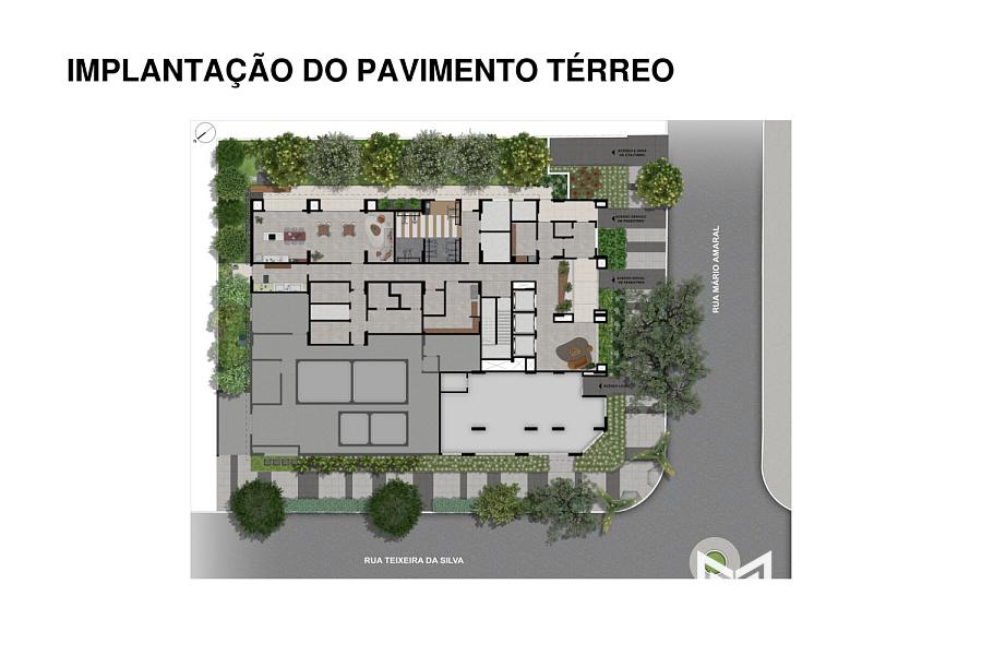 Arvo Teixeira da Silva 22