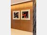 Andar Alto - 3 Su�tes - Vista Definitiva - Rec�m Entregue 43