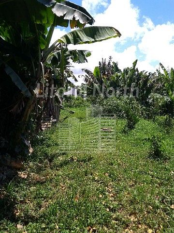 Terreno à venda com 1300m² de terreno no São João, Itajaí (SC) — foto 5 de 14