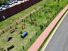 Jardins Fran�a | Goi�nia | 407,85 m� | Lote plano | Condom�nio de alto padr�o 19