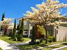 Alphaville Araguaia | Goi�nia | Lote 1.004 m� | Fundo para mata | Alto padr�o 9