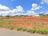 Terreno | Vila Rosa | 14.922,29 m� | Pr�ximo ao Shopping Buriti | Alto Potencial Construtivo 3