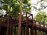 Plateau d�Or Unique | Alphaville Flamboyant | 641,96 m� | Lote de alto padr�o 20