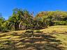 Aldeia do Vale | Goi�nia | Terreno 10.250 m� | Avenida Floresta | Vista Panor�mica 4