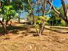 Aldeia do Vale | Goi�nia | Terreno 2.203,66 m� | Fundo de Vale | Mata Preservada 3