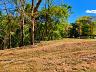 Aldeia do Vale | Goi�nia | Terreno 2.203,66 m� | Fundo de Vale | Mata Preservada 4