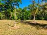 Aldeia do Vale | Goi�nia | Terreno 2.203,66 m� | Fundo de Vale | Mata Preservada 6