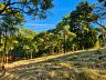 Aldeia do Vale | Goi�nia | Terreno com Duas Frentes | Vista Privilegiada 4