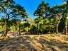 Aldeia do Vale | Goi�nia | Terreno com Duas Frentes | Vista Privilegiada 5